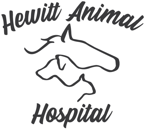 Hewitt-Animal-Hospital