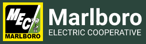 malboro_electric_logo