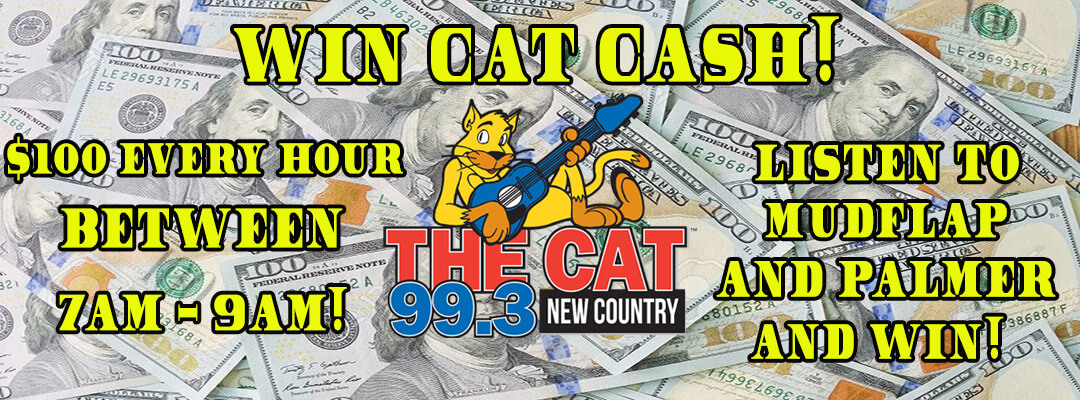 Cat Cash inside copy
